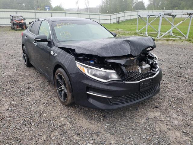 Photo 1 from auction – 2016 KIA OPTIMA LX with VIN 5XXGT4L19GG079209