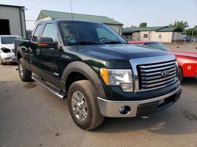 FORD F150 SUPER 2012 with VIN 1FTFX1ET5CFC20928 - Photo from auction
