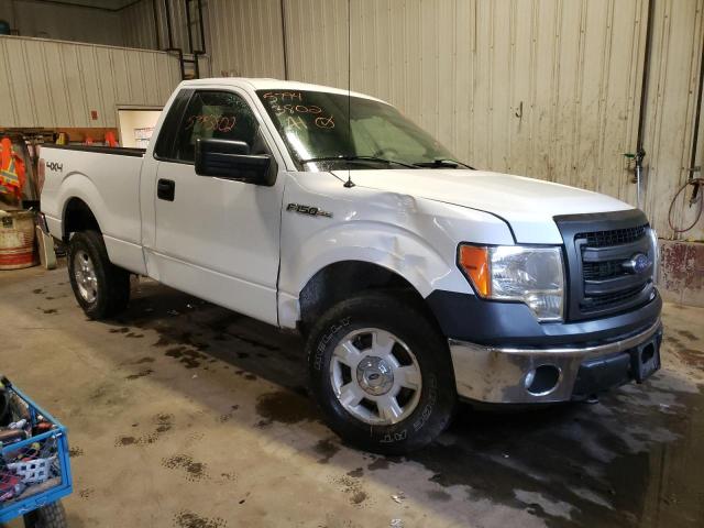 FORD F-150 2014 with VIN 1FTMF1EM6EFB96466 - Photo from auction