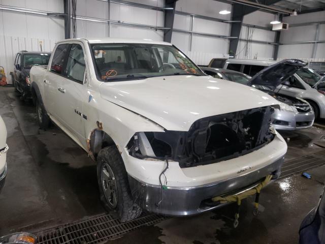 DODGE RAM 1500 2009 with VIN 1D3HB13T29S766376 - Photo from auction