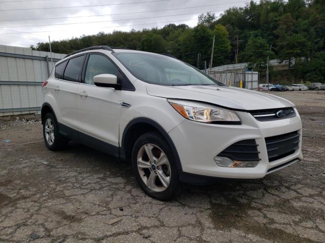 FORD ESCAPE SE 2014 with VIN 1FMCU9G91EUE48771 - Photo from auction