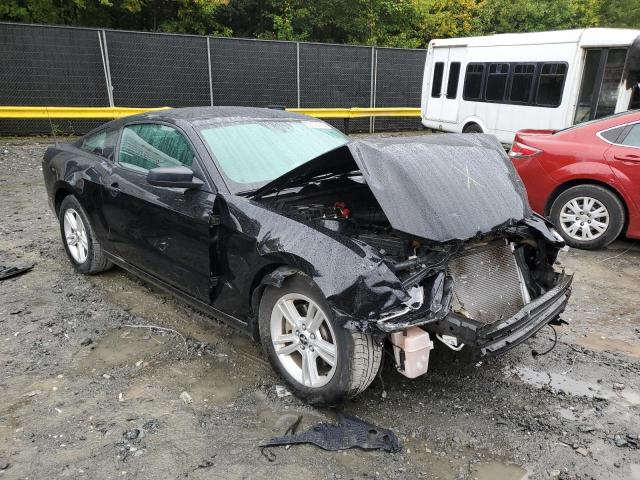 FORD MUSTANG 2014 with VIN 1ZVBP8AM3E5223967 - Photo from auction