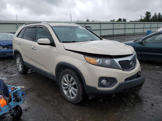 KIA SORENTO EX 2011 with VIN 5XYKUDA24BG091906 - Photo from auction