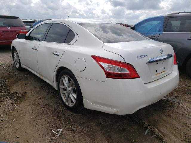 Photo 3 from auction – 2009 NISSAN MAXIMA S with VIN 1N4AA51E39C834516