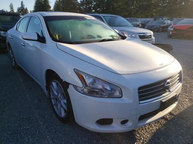 NISSAN MAXIMA S 2009 with VIN 1N4AA51E29C858483 - Photo from auction