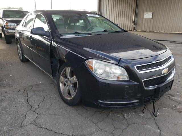 CHEVROLET MALIBU 2LT 2010 with VIN 1G1ZD5EB0AF113876 - Photo from auction