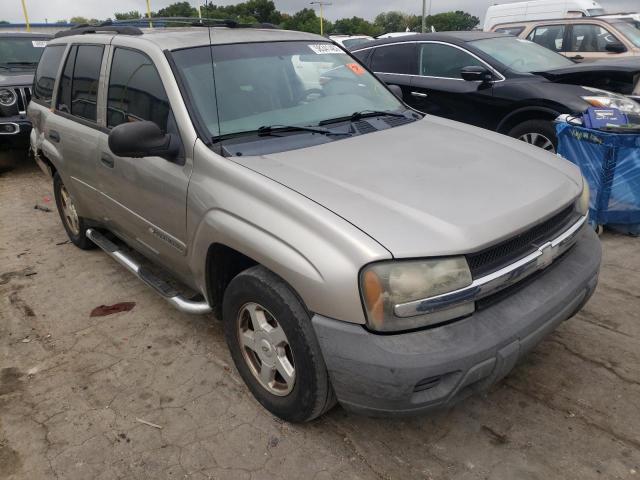 CHEVROLET TRAILBLAZE 2002 with VIN 1GNDS13S022489917 - Photo from auction
