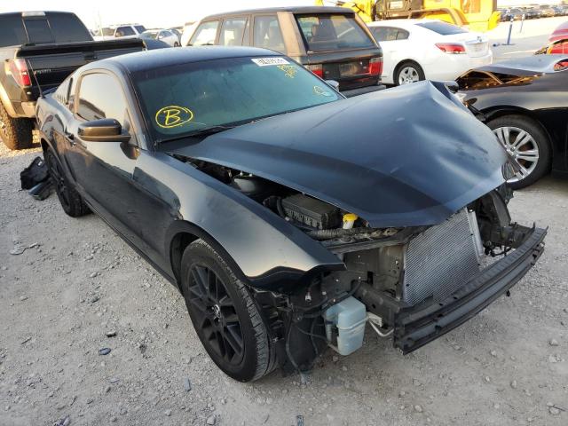 FORD MUSTANG 2014 with VIN 1ZVBP8AMXE5259123 - Photo from auction