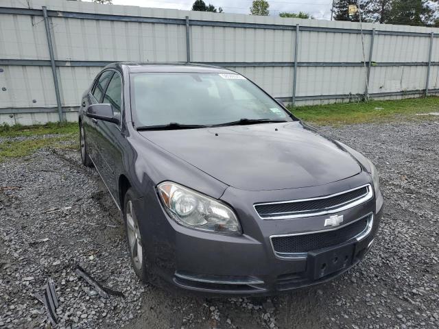 Photo 1 from auction – 2011 CHEVROLET MALIBU 1LT with VIN 1G1ZC5E18BF204163