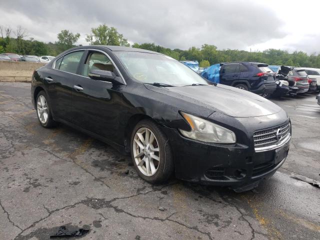 NISSAN MAXIMA S 2009 with VIN 1N4AA51E59C827843 - Photo from auction