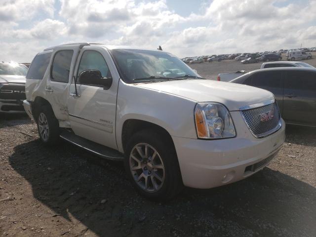 GMC YUKON DENA 2010 with VIN 1GKUKEEF4AR196564 - Photo from auction