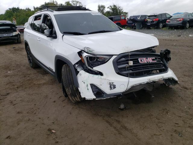 GMC TERRAIN SL 2019 with VIN 3GKALVEX2KL204887 - Photo from auction