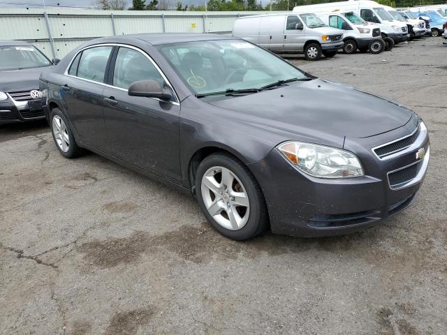 CHEVROLET MALIBU LS 2011 with VIN 1G1ZB5E11BF217176 - Photo from auction