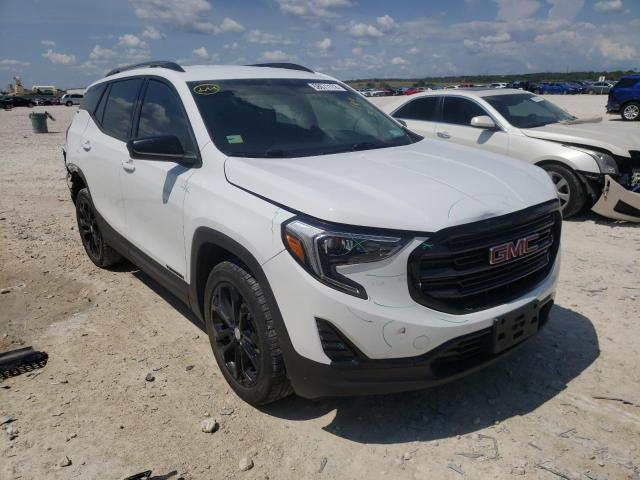 GMC TERRAIN SL 2019 with VIN 3GKALTEV9KL149812 - Photo from auction