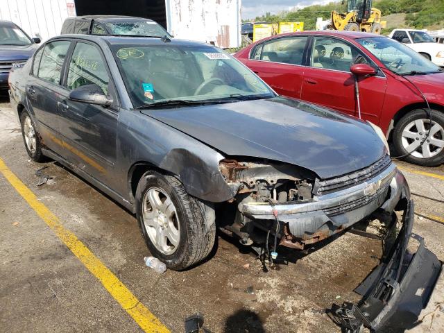 Photo 1 from auction – 2004 CHEVROLET MALIBU LT with VIN 1G1ZU54884F227439
