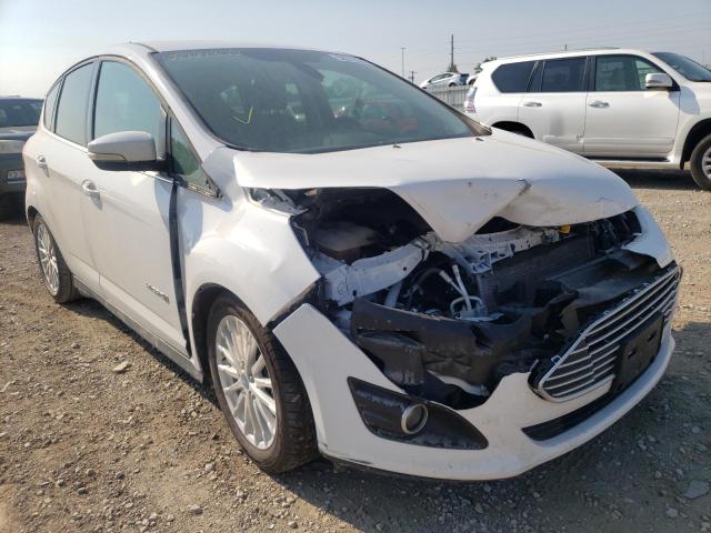 FORD C-MAX SEL 2014 with VIN 1FADP5BU0EL509768 - Photo from auction