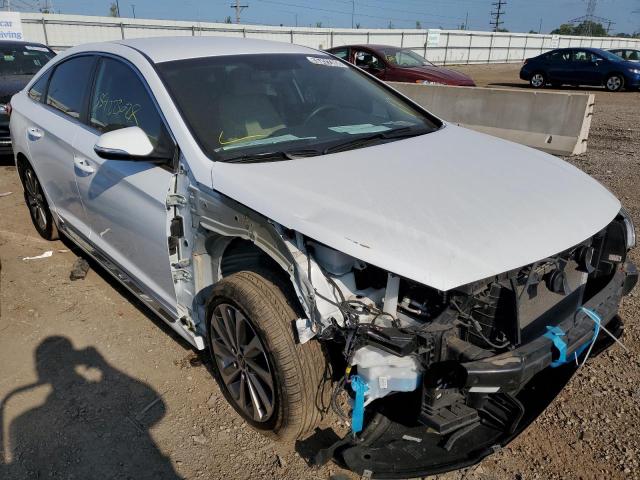 HYUNDAI SONATA SPO 2016 with VIN 5NPE34AF7GH432976 - Photo from auction