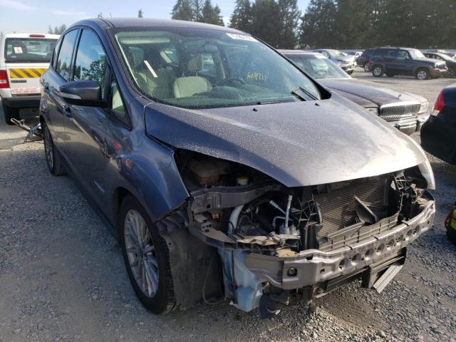 FORD C-MAX SE 2013 with VIN 1FADP5AU7DL548700 - Photo from auction