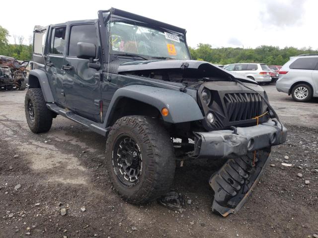 JEEP WRANGLER U 2016 with VIN 1C4BJWDG4GL245473 - Photo from auction