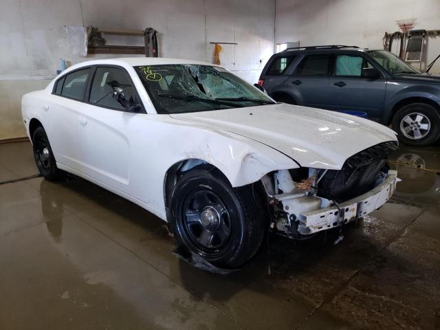 DODGE CHARGER PO 2014 with VIN 2C3CDXAG0EH123925 - Photo from auction
