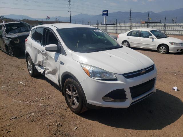 FORD ESCAPE SE 2013 with VIN 1FMCU0GX7DUD72000 - Photo from auction