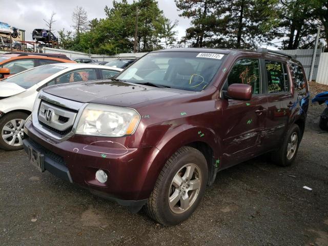 Photo 2 from auction – 2010 HONDA PILOT EXL with VIN 5FNYF4H51AB013741