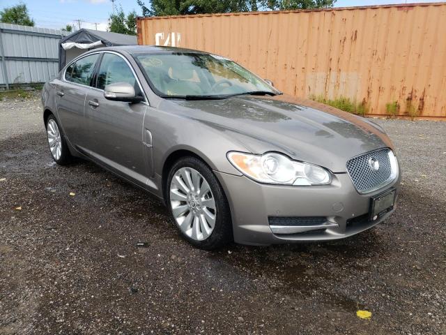 JAGUAR XF PREMIUM 2009 with VIN SAJXA06B09HR19128 - Photo from auction
