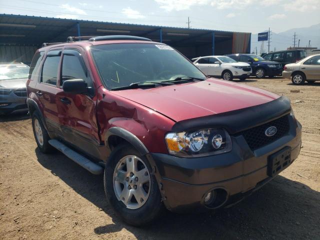 FORD ESCAPE XLT 2006 with VIN 1FMYU93116KC23110 - Photo from auction