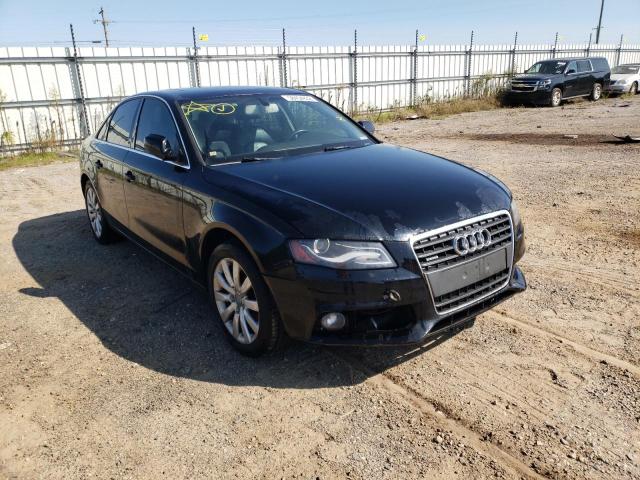 AUDI A4 PREMIUM 2011 with VIN WAUFFAFL3BN029639 - Photo from auction
