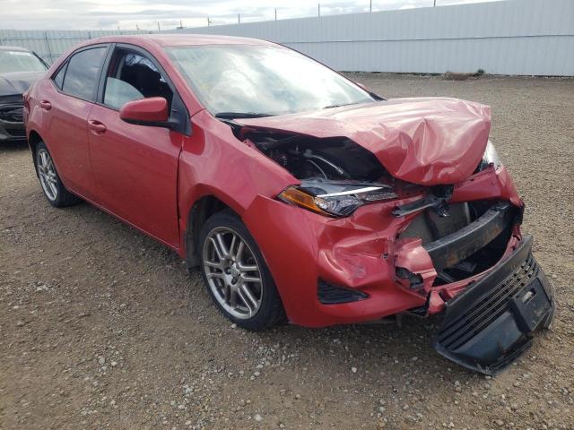 TOYOTA COROLLA L 2017 with VIN 2T1BURHE8HC826372 - Photo from auction