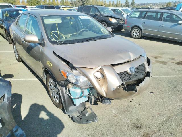 TOYOTA COROLLA BA 2010 with VIN 1NXBU4EE0AZ204165 - Photo from auction