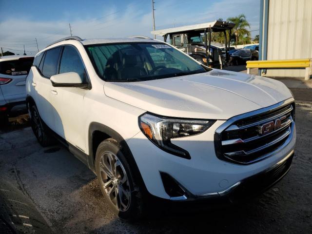 GMC TERRAIN SL 2019 with VIN 3GKALPEVXKL199075 - Photo from auction
