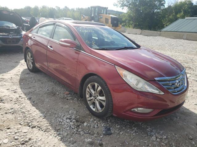 HYUNDAI SONATA SE 2011 with VIN 5NPEC4AC6BH306025 - Photo from auction