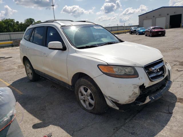 HYUNDAI SANTA FE G 2007 with VIN 5NMSG13DX7H089529 - Photo from auction