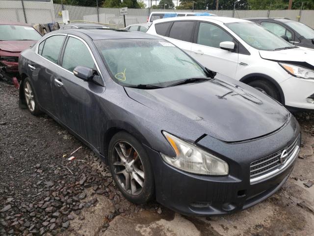 NISSAN MAXIMA S 2009 with VIN 1N4AA51E29C810904 - Photo from auction