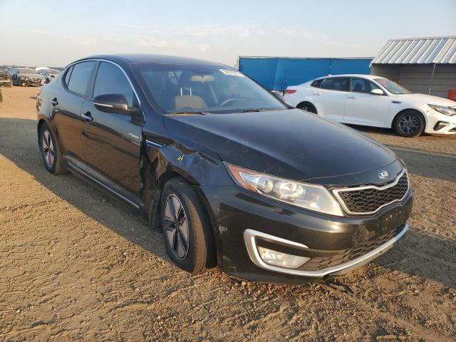KIA OPTIMA 2013 with VIN KNAGM4AD4D5053687 - Photo from auction