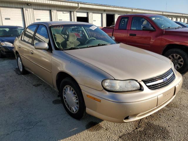CHEVROLET MALIBU 2003 with VIN 1G1ND52J13M514491 - Photo from auction