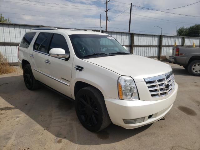 CADILLAC ESCALADE P 2011 with VIN 1GYS4CEF5BR167572 - Photo from auction