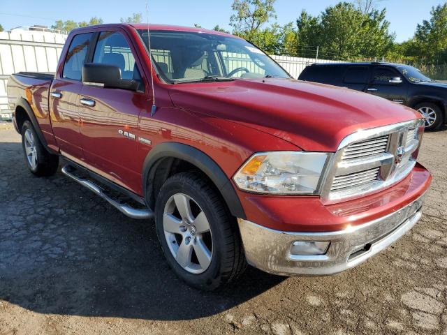 DODGE RAM 1500 2010 with VIN 1D7RV1GT1AS124272 - Photo from auction