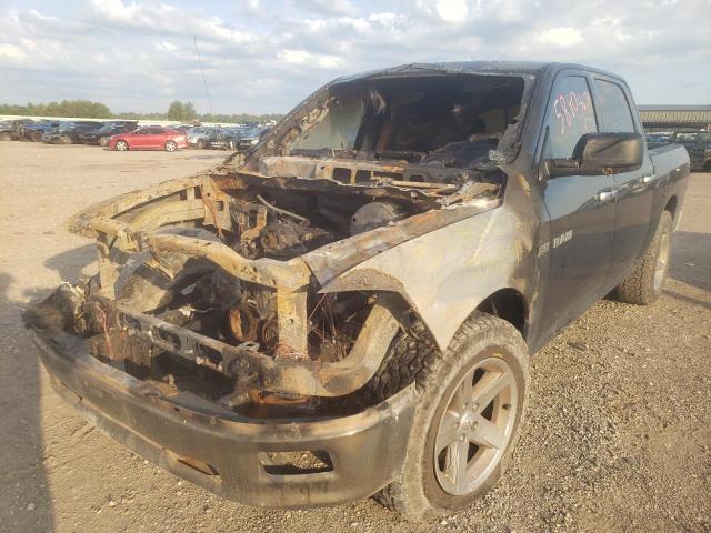 Photo 2 from auction – 2010 DODGE RAM 1500 with VIN 1D7RB1CT8AS248859