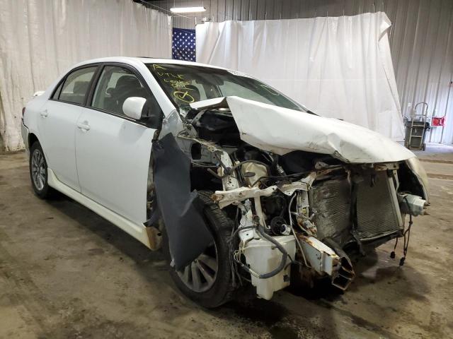 TOYOTA COROLLA BA 2010 with VIN 2T1BU4EE2AC291665 - Photo from auction
