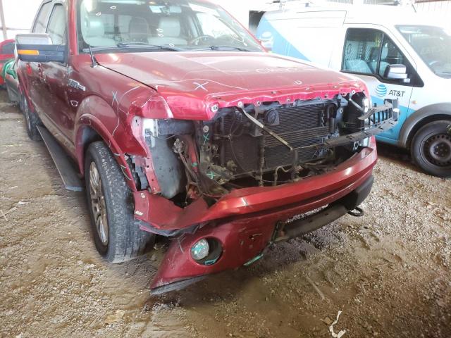 Photo 9 from auction – 2010 FORD F150 SUPER with VIN 1FTFW1EV1AFB04854