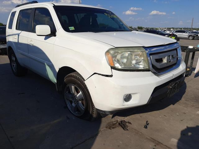 HONDA PILOT EXL 2009 with VIN 5FNYF38529B022339 - Photo from auction