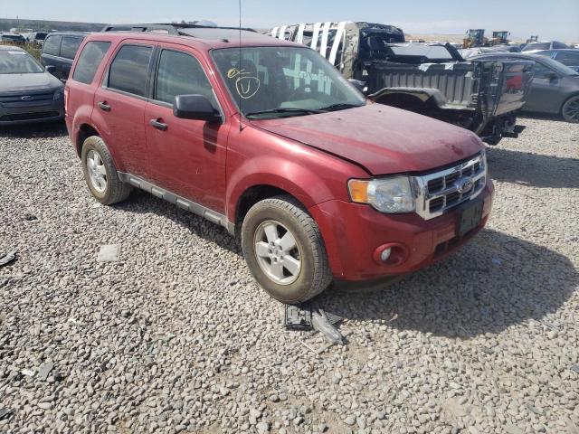 FORD ESCAPE XLT 2011 with VIN 1FMCU9D7XBKB61357 - Photo from auction