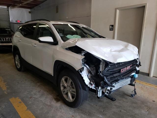 GMC TERRAIN SL 2022 with VIN 3GKALMEV7NL166165 - Photo from auction