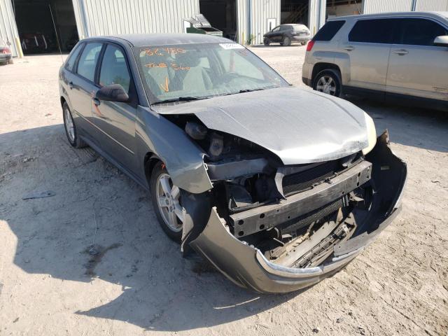 CHEVROLET MALIBU MAX 2004 with VIN 1G1ZT64884F182480 - Photo from auction