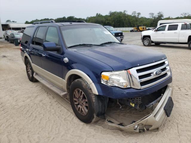 FORD EXPEDITION 2009 with VIN 1FMFU17539LA03858 - Photo from auction