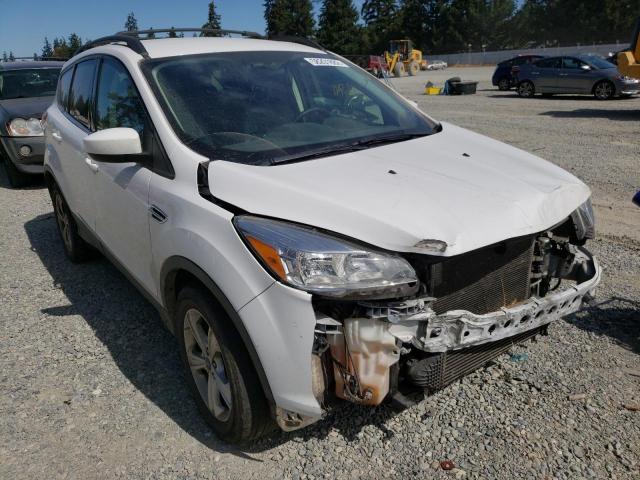 FORD ESCAPE SE 2016 with VIN 1FMCU9G96GUB61381 - Photo from auction
