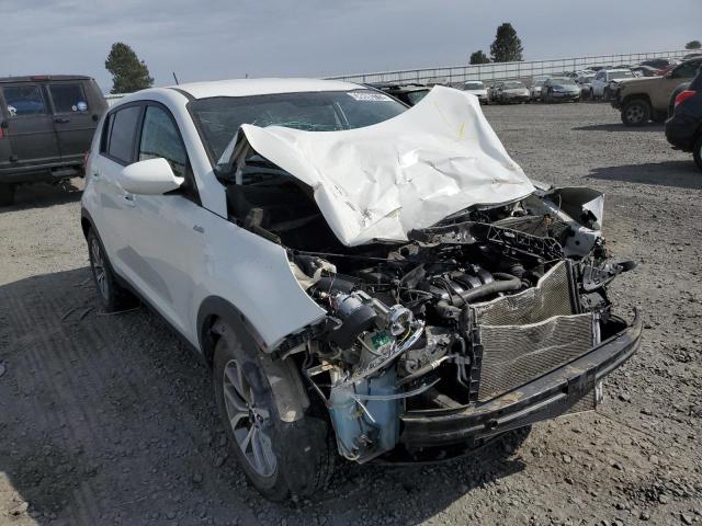 KIA SPORTAGE L 2016 with VIN KNDPBCAC3G7875643 - Photo from auction