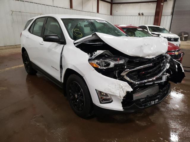 CHEVROLET EQUINOX LS 2019 with VIN 3GNAXHEV4KS568838 - Photo from auction
